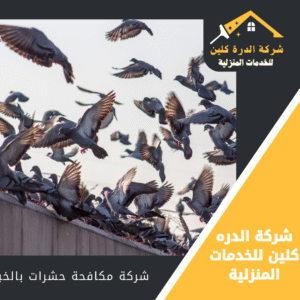 شركة تركيب طارد الحمام بالخبر
