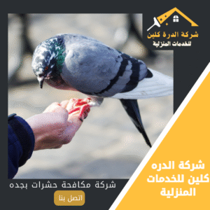 شركة تركيب طارد الحمام بجده