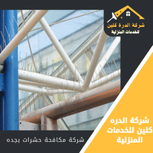 شركة مكافحة الحمام بجده