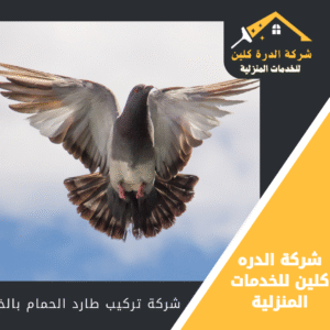 افضل شركة تركيب طارد الحمام بالخرج