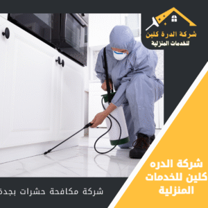 شركة مكافحة النمل الأبيض بجدة