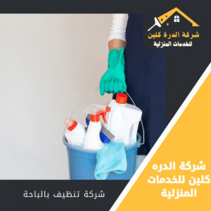 شركة تنظيف منازل بالباحة